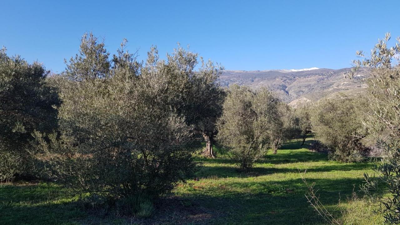 Gateway To The Alpujarras, 'Cortijo Derry' Hotel Orgiva Exterior foto