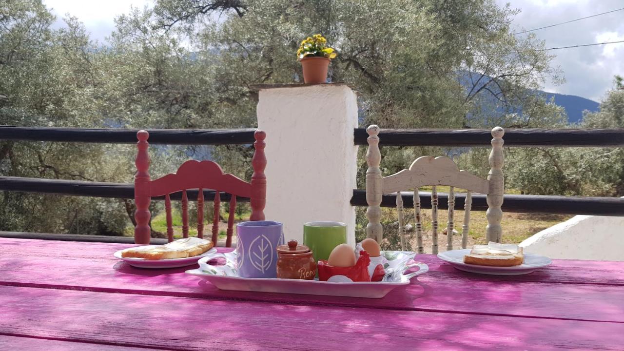 Gateway To The Alpujarras, 'Cortijo Derry' Hotel Orgiva Exterior foto