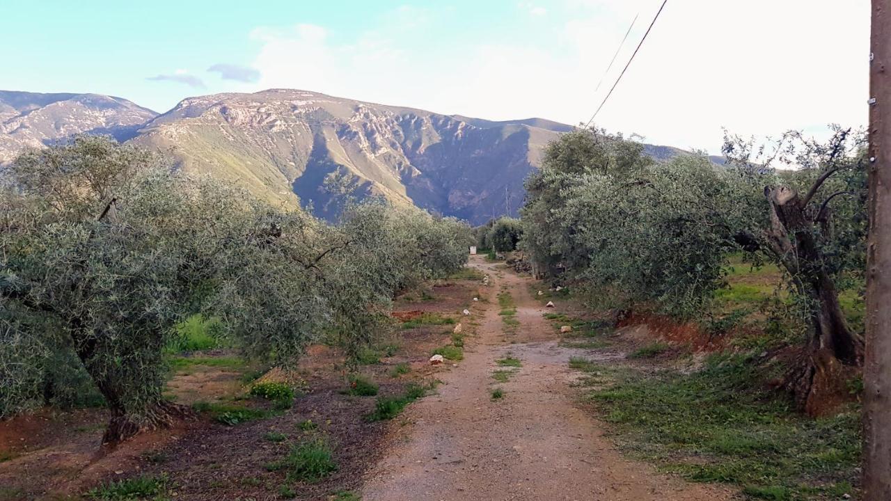 Gateway To The Alpujarras, 'Cortijo Derry' Hotel Orgiva Exterior foto