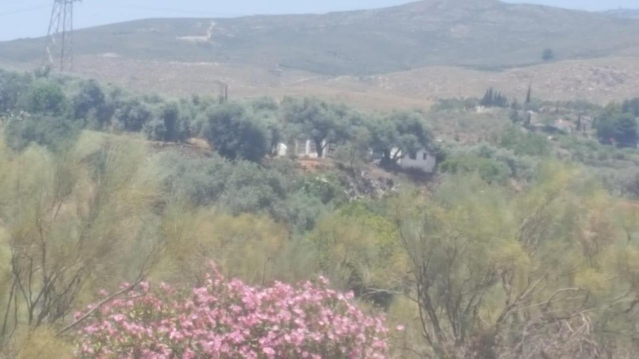 Gateway To The Alpujarras, 'Cortijo Derry' Hotel Orgiva Exterior foto